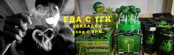 индика Пестово
