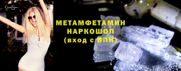 индика Пестово