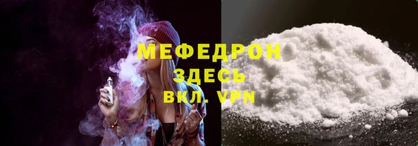 индика Пестово