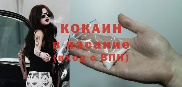 дживик Переславль-Залесский