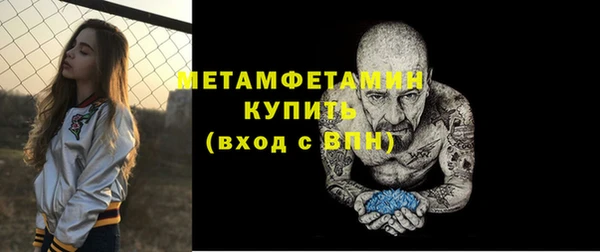 индика Пестово
