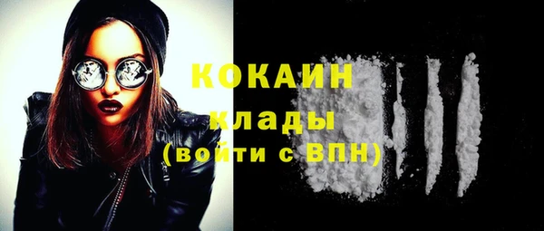 дживик Переславль-Залесский