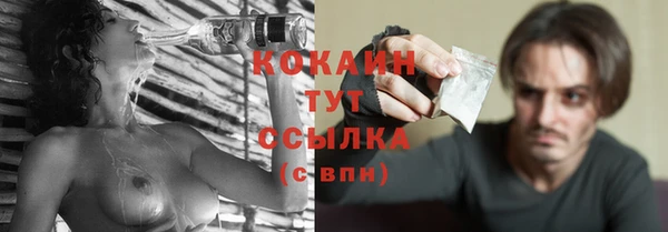 индика Пестово
