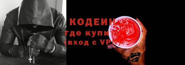 индика Пестово