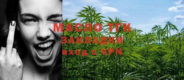 индика Пестово