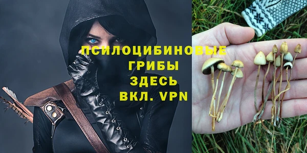 индика Пестово