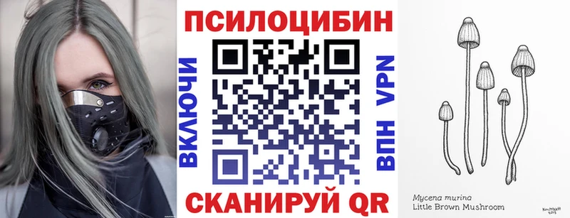 Галлюциногенные грибы мицелий  Горячеводский 